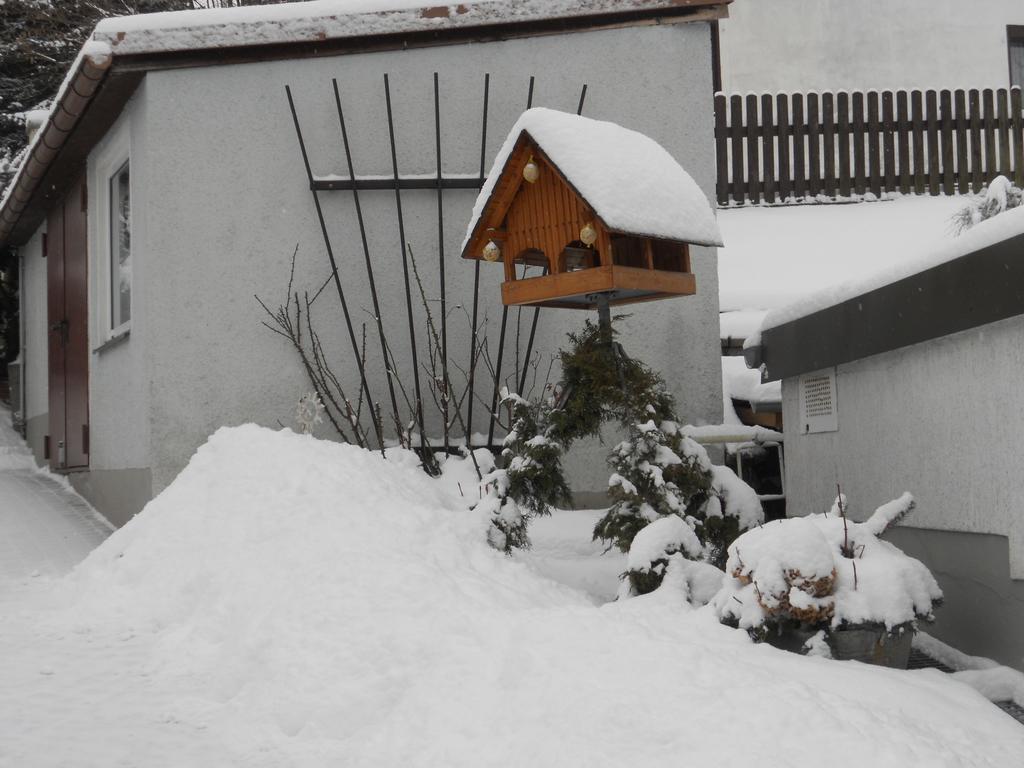 Ferienhaus Zittau Oberlausitz & Ferienwohnung Am Hamann Berg エクステリア 写真
