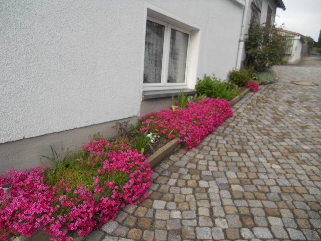 Ferienhaus Zittau Oberlausitz & Ferienwohnung Am Hamann Berg エクステリア 写真